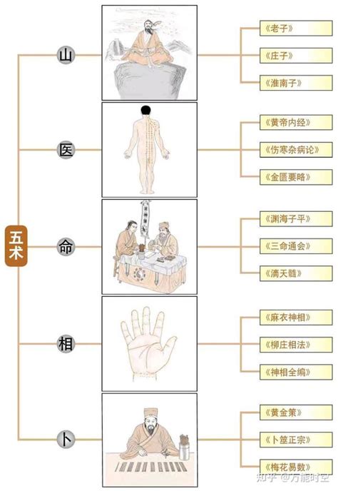 山医命卜相